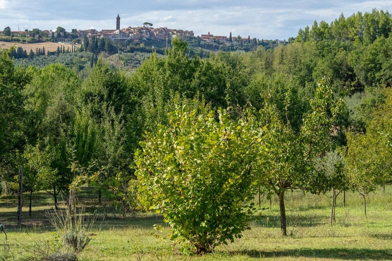 Agriturismo La Valle Peccioli Buitenkant foto